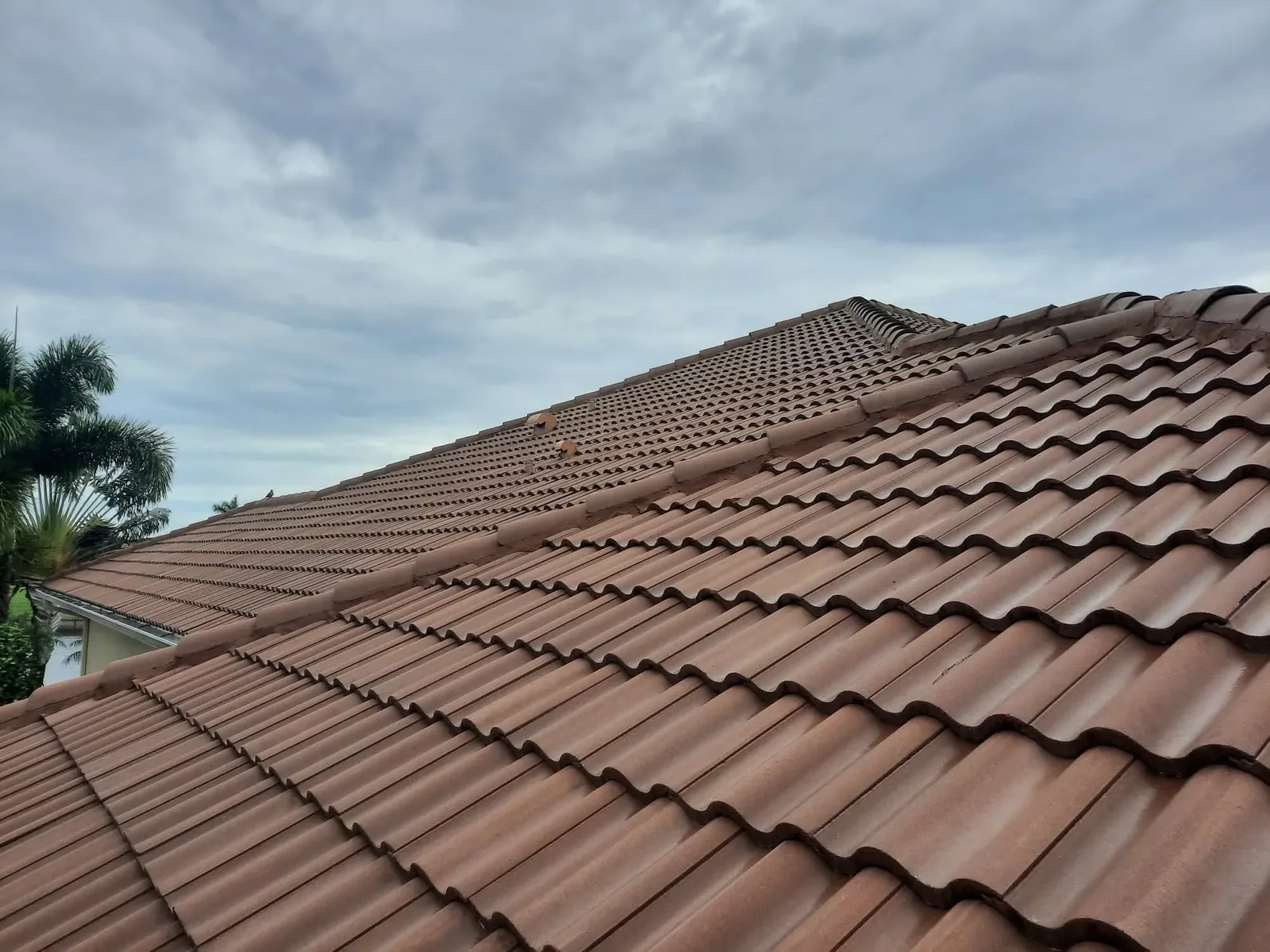 Clean barrel tile roof courses in even terracotta under an open sky
